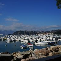 Top des bateaux à moteur pour naviguer